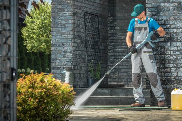 Best Dumpster Area Cleaning  in Lan, MI