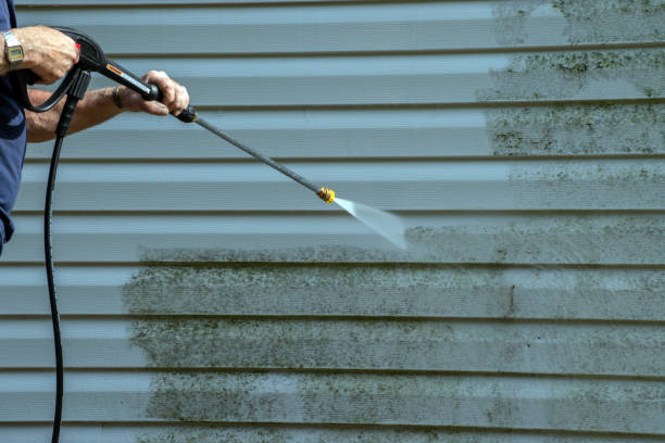 Best Driveway Pressure Washing  in Lan, MI
