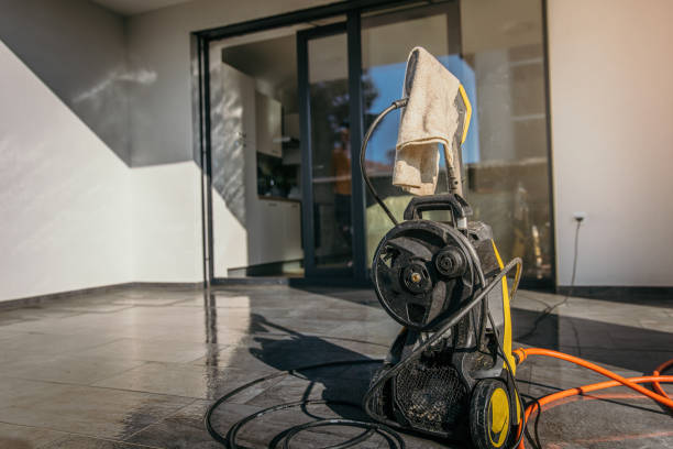 Best Sidewalk and Walkway Cleaning  in Lan, MI