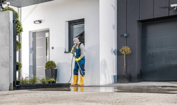 Best Roof Washing  in Lan, MI